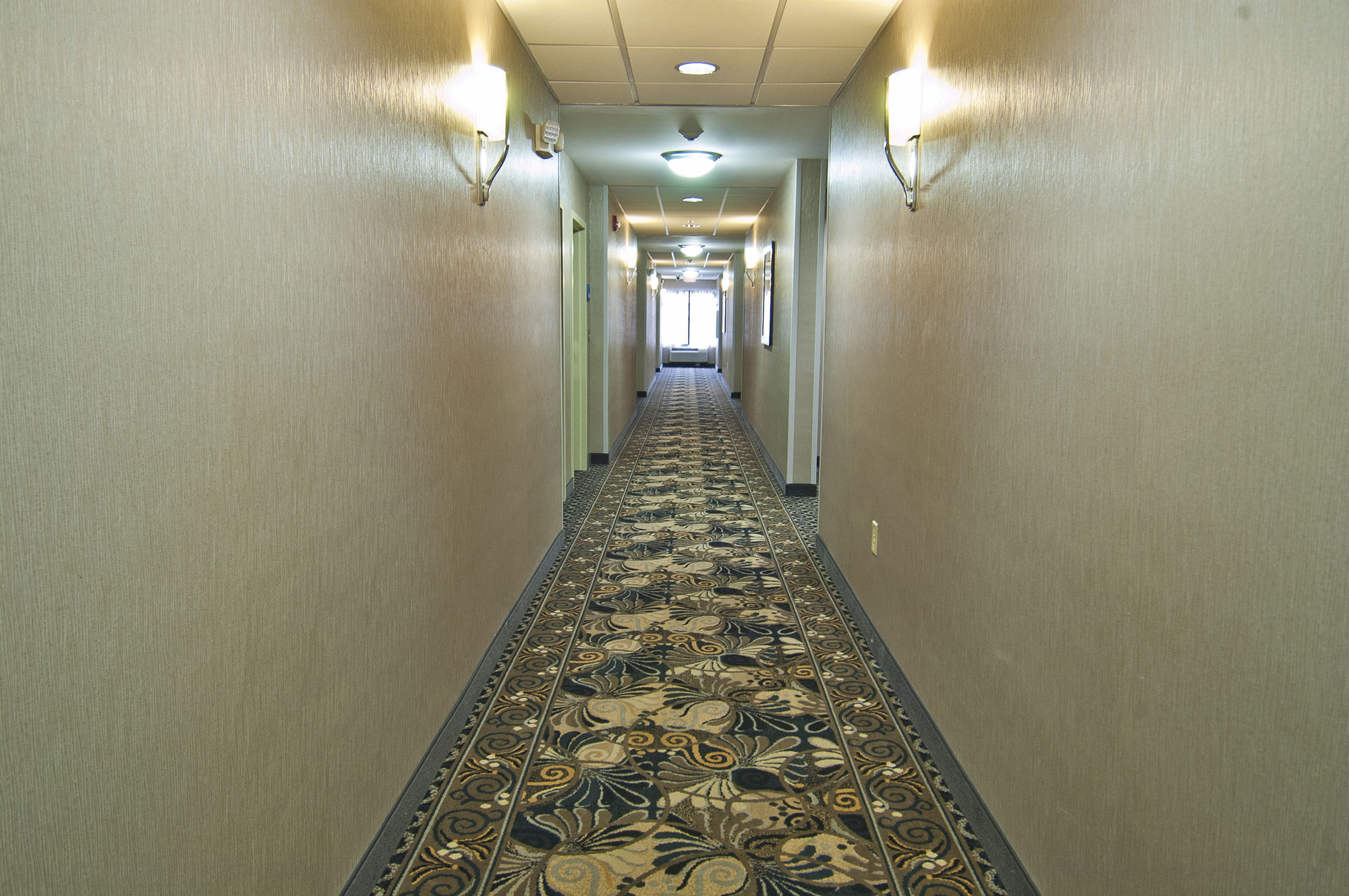 Holiday Inn Express & Suites Jackson/Pearl International Airport Εξωτερικό φωτογραφία